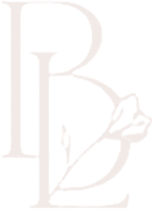 The Bloom Lab